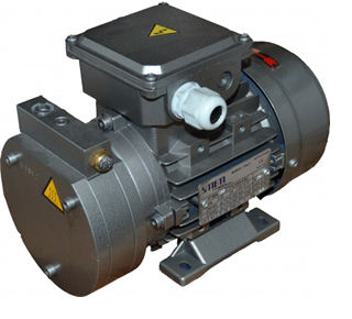 riparazione pompe vuoto Bellinzona